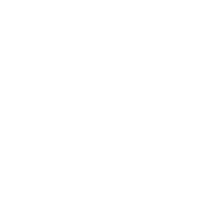 logo_dewijnboetiek